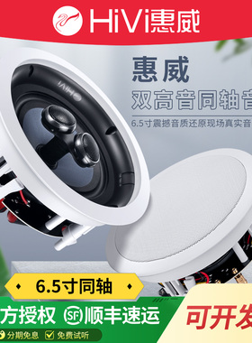 Hivi/惠威 VR6-SC同轴高低音吊顶喇叭 50W天花音响立体声吸顶音箱