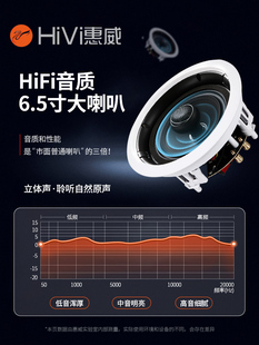 Hivi惠威 VX6C吸顶喇叭背景音乐同轴音箱会议天花吊顶音响套装