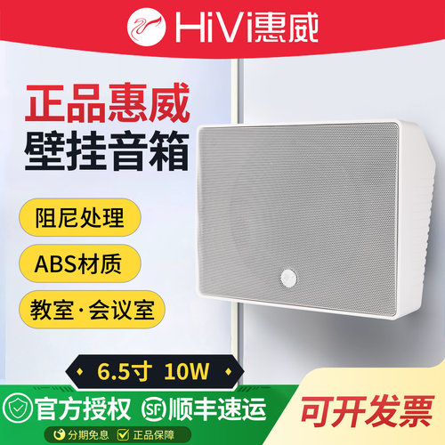 Hivi/惠威TW108店铺背景音乐壁挂
