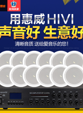 Hivi/惠威 TD202吸顶喇叭吊顶天花音响店铺音箱蓝牙背景音乐系统