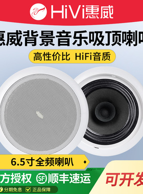 Hivi/惠威 TD202吸顶喇叭店铺背景音乐天花音响室内吊顶天花音箱