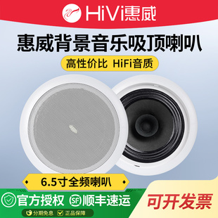 Hivi TD202吸顶喇叭店铺背景音乐天花音响室内吊顶天花音箱 惠威