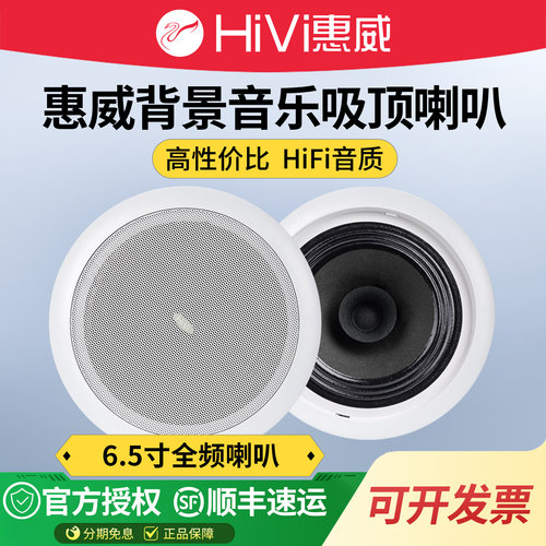 惠威td202背景音乐室内吸顶喇叭