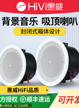 Hivi/惠威 TD206A带后罩吸顶喇叭卫生间天花音响浴室防水天花音箱