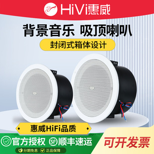 Hivi TD206A带后罩吸顶喇叭卫生间天花音响浴室防水天花音箱 惠威