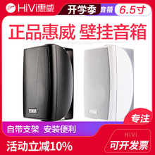 OS壁挂音箱会议室套装 Hivi 定阻音响挂式 VA6 8定压 喇叭 惠威