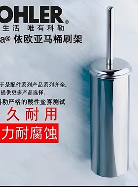 科勒K-17530T-ST依欧亚马桶刷架