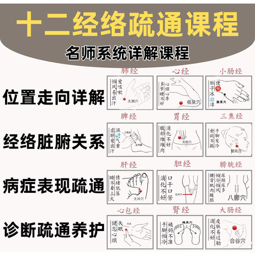 十二经络疏通课程走向穴位记忆中医视频全套自学零基础从入门到精