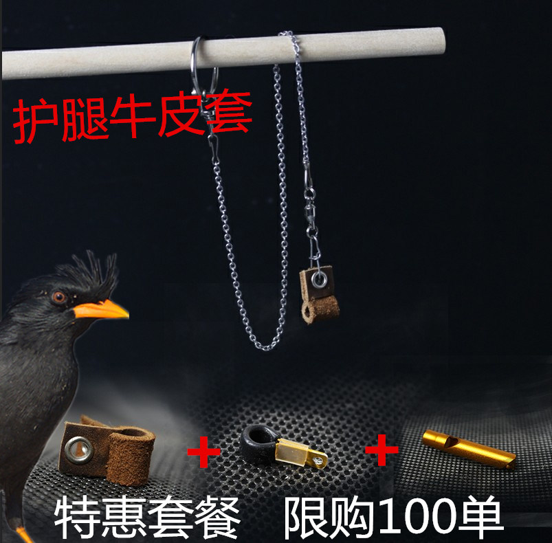 鹦鹉脚链虎皮牡丹玄凤脚环伯劳喜鹊八哥鹩哥脚环真皮鸟脚套鸟链子