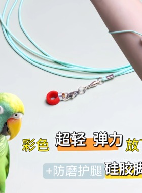 2米m彩色超轻鹦鹉放飞绳训练虎皮玄凤牡丹脚环脚链脖套遛鸟飞行绳