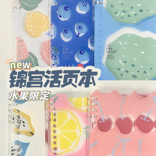 锦宫TEFRENU活页线圈本B5书写