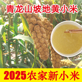 2025新黄小米农家自产山坡地种植河北秦皇岛青龙特产 五谷杂粮 包邮