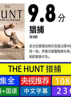 代找咨询服务《THE HUNT 猎捕》7集全集素材