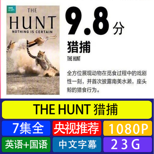 猎捕 HUNT 7集全集素材 THE 代找咨询服务