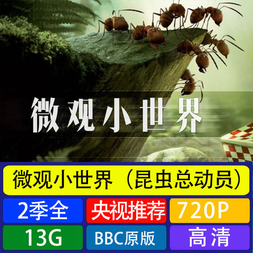 代找咨询服务 微观小世界儿童教育科普动物植物