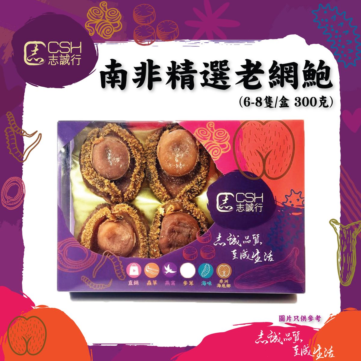 志诚行 断货皇南非精选老网鲍6-8只1盒装300克干鲍海味干货干鲍鱼