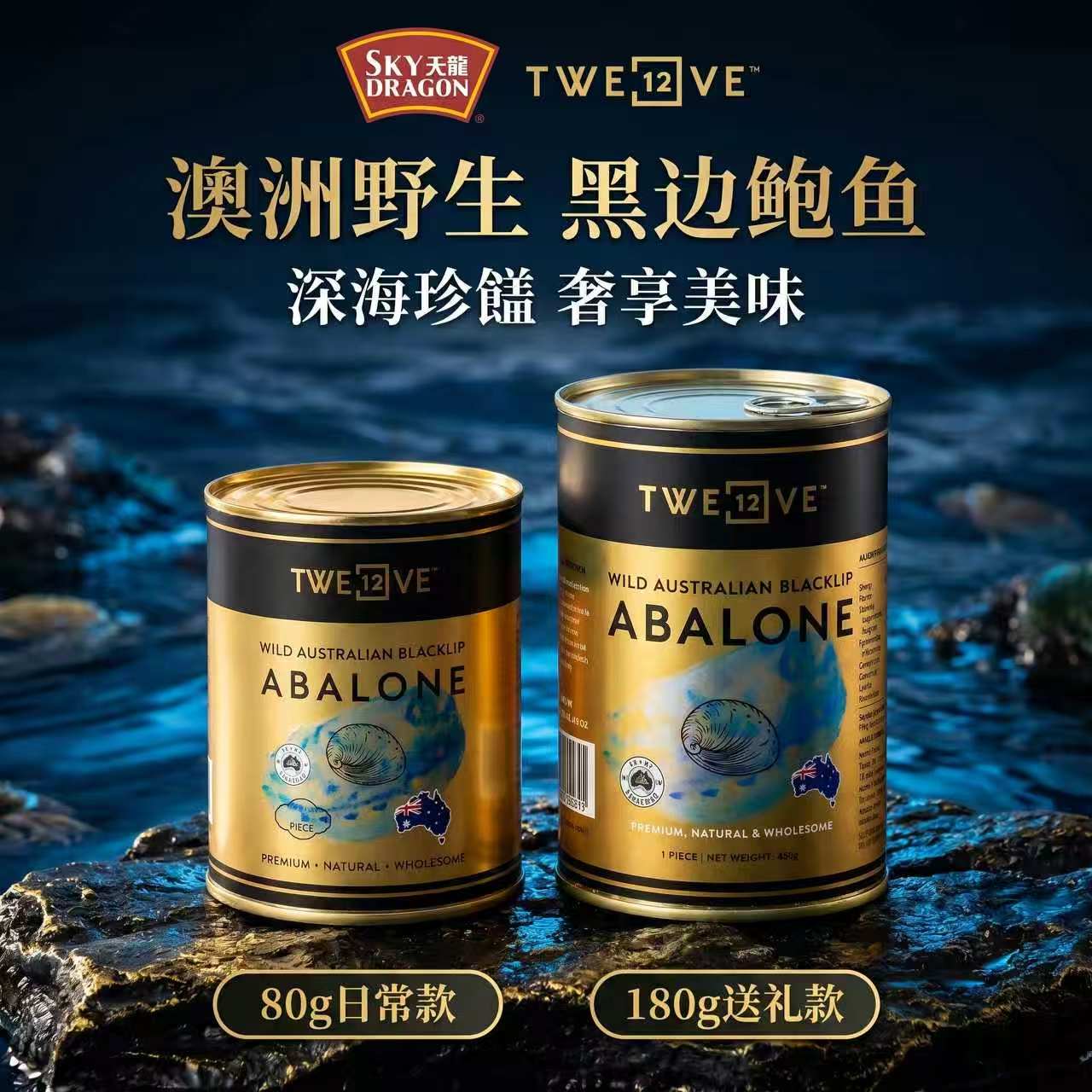 天龙-鲍鱼特大清汤罐头1头熟即食