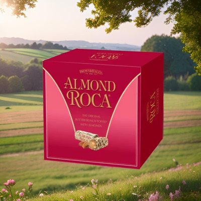 香港进口网红新年春节礼盒节日送礼进口乐家杏仁糖270克