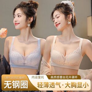夏季透气薄款大胸显小聚拢文胸