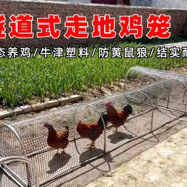 鸡笼养鸡笼防黄鼠狼跑道笼生态养殖笼农庄隧道笼可移动防蛇铁网,畜牧/养殖物资,养殖用具,淘宝优惠券,粉丝福利购,淘宝优惠卷
