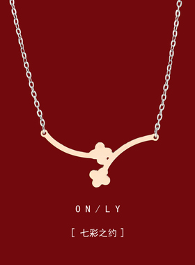 项链轻奢小众女生2024新款爆款配饰气质百搭小众精致锁骨链颈链潮