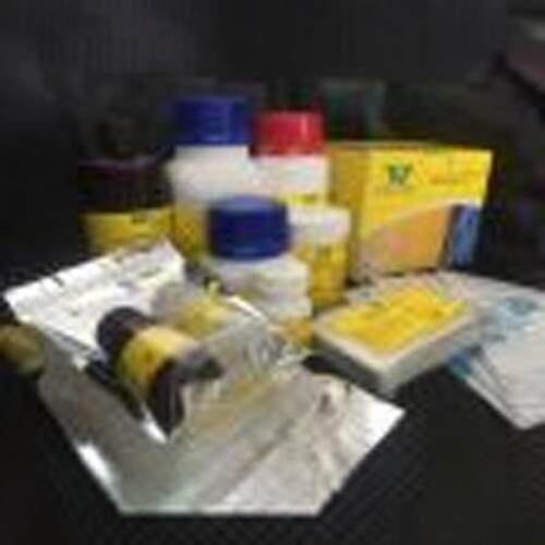 固相污染核酸假阳性清除剂