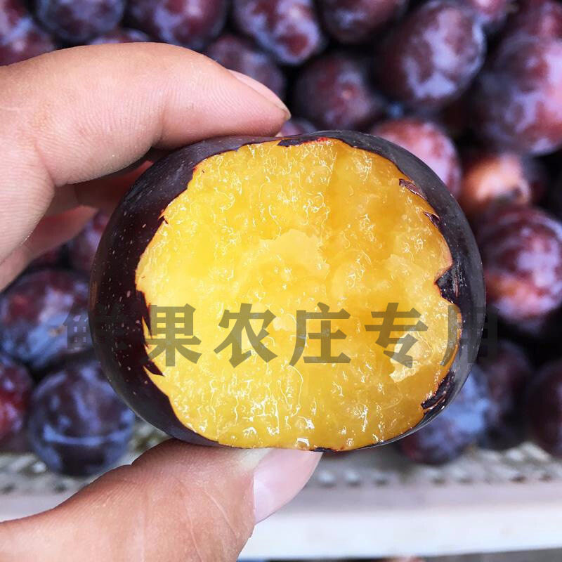 2025新鲜黑布林李子黑布朗酸甜孕妇水果比三华李应季现摘5斤 包邮