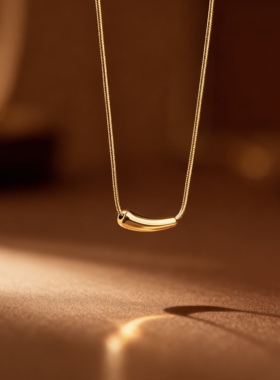 精致简约小茄子钛钢项链女款小众气质轻奢ins高级感百搭锁骨链621