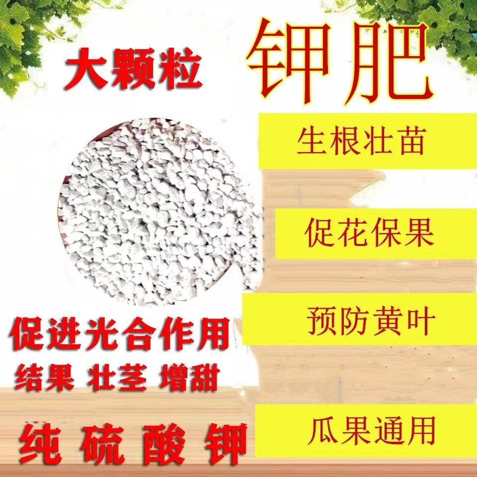 钾肥农用颗粒硫酸钾花卉果树盆栽蔬菜用结果膨果期壮茎防倒伏钾肥