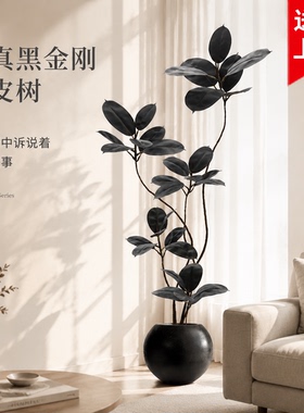 假绿植装饰仿真黑金刚室内盆栽大型落地摆件客厅轻奢防真绿色植物