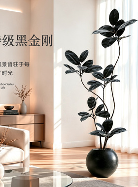 仿真绿植假树黑金刚高级感植物造景室内装饰餐厅客厅仿生逼真景观
