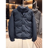 网图@白鹅绒-黑武士轻奢百搭外套羽绒服潮流立领男上衣YR100-P260，男装羽绒服，电商D246