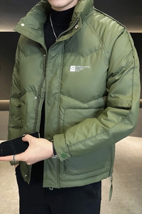 @店主风-免洗面料冬立领羽绒服潮流男YR308-P165图片