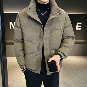 @店主风-大新标90%高克数外套羽绒服男肌理感YR870-P245图片