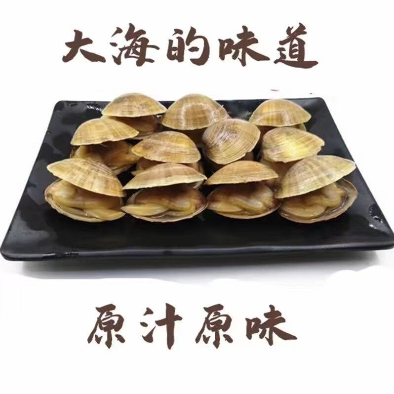 新鲜包邮真空开袋即食鲜活大黄蚬贝类制品