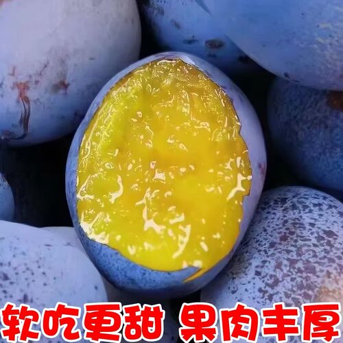 正宗甘肃西梅国产新鲜西梅水果当季现摘脆甜李子蓝蜜西梅大果箱