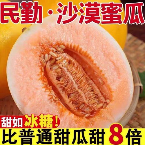 甘肃民勤蜜瓜哈蜜瓜黄金网纹甜瓜沙漠应季新鲜水果冰淇淋香哈密瓜
