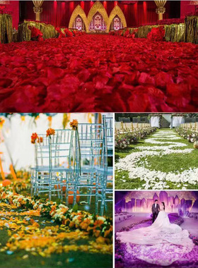 2500pcs Artificial Rose Petal Silk DIY Fake Flowers 仿真花瓣