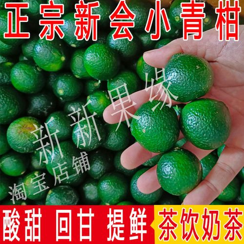 正宗新会小青柑鲜果大青柑二红柑皮大红柑茶枝柑陈皮果晒皮专用
