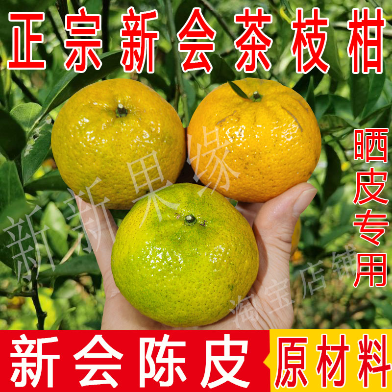 正宗新会小青柑鲜果大青柑二红柑皮大红柑茶枝柑陈皮果晒皮专用