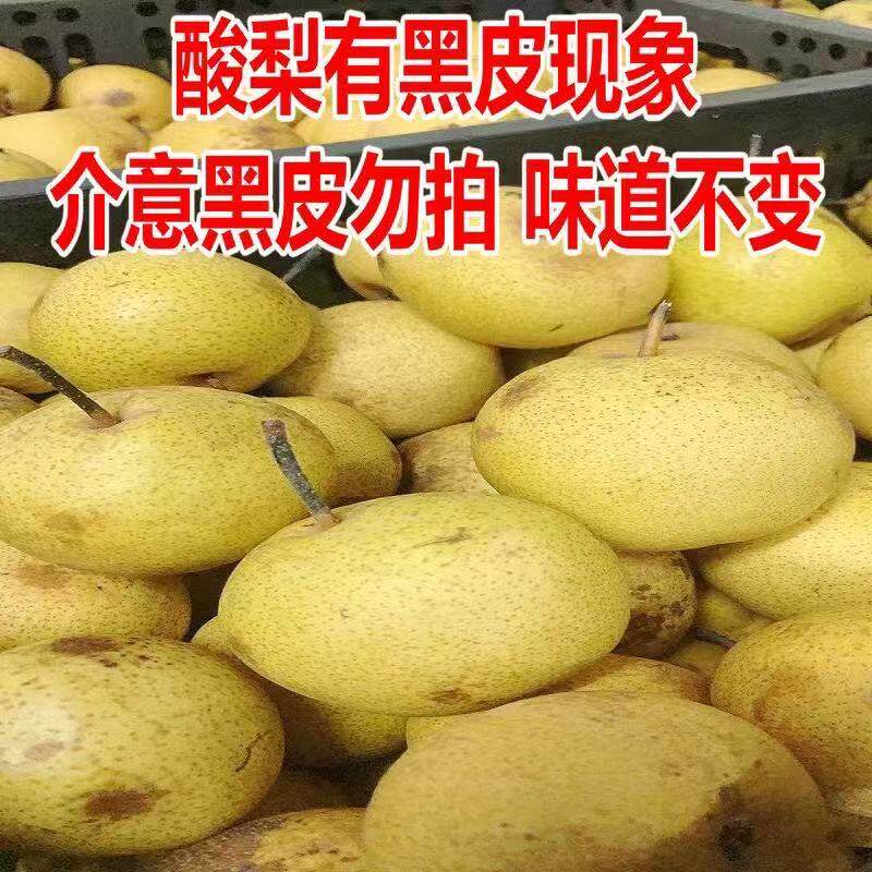 安梨大酸梨孕妇水果冻梨秋子梨新鲜水果酸爽面酸梨10斤装多省包邮