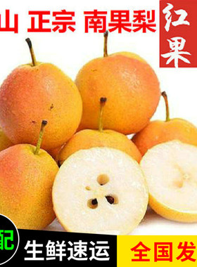鞍山南果梨海城南国梨新鲜多汁甜美味酒香味5斤装多省包邮