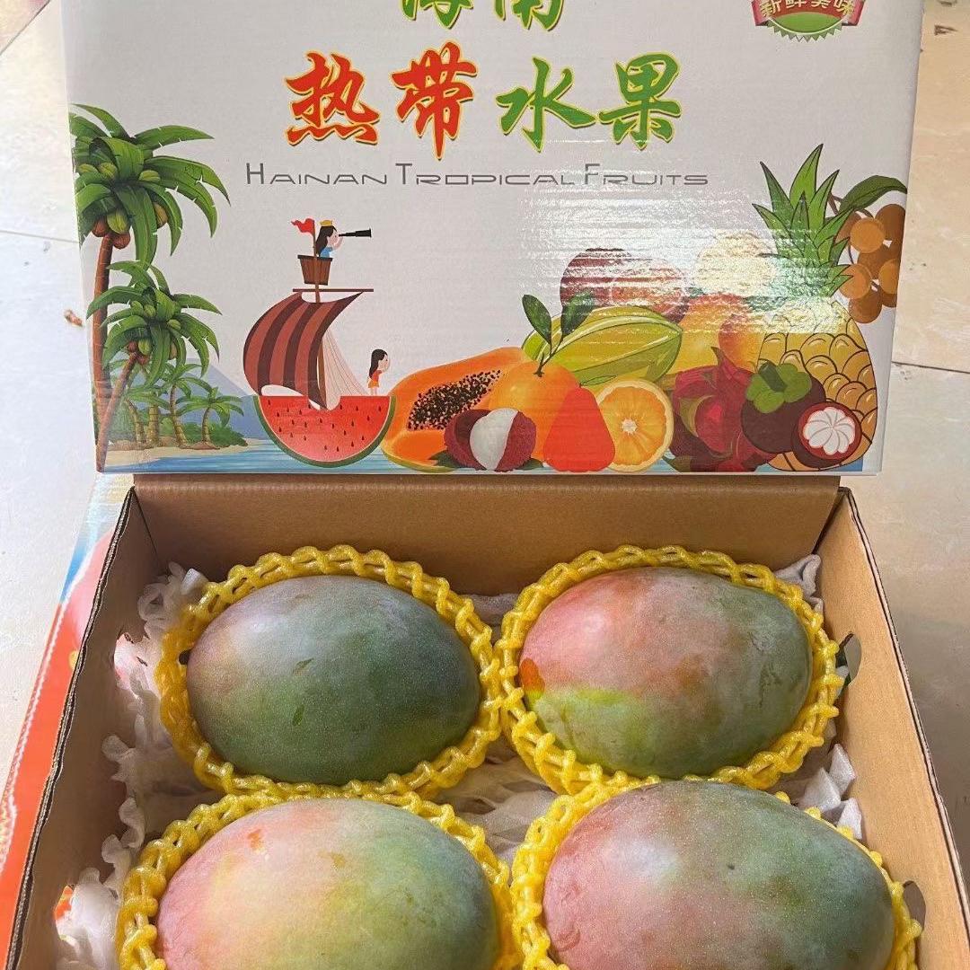 海南芒果新鲜三亚应季大青芒顺丰包邮9.5-10斤整箱装青皮红皮澳芒