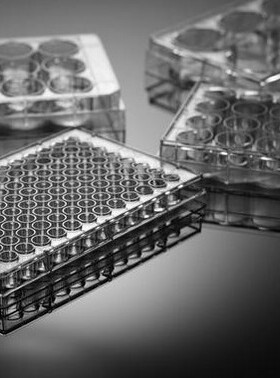 NEST 96孔细胞培养板 701001 96孔板 平底 TC处理