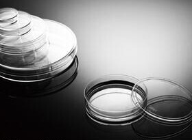 耐思 705001 NEST 60mm细胞培养皿 TC 20个/包