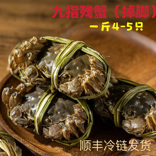 蟹塘直发高淳固城湖精品大闸蟹全母蟹活蟹顺丰空运直达