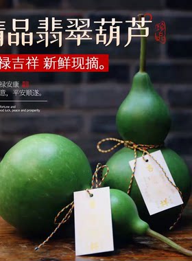 A级甄选白玉青皮葫芦绿皮葫芦 福禄安康吉祥居家装饰摆件送人礼品
