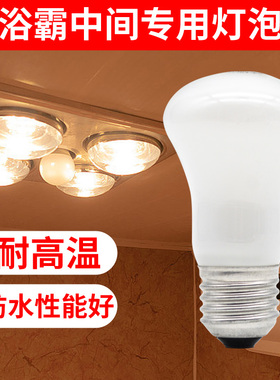 GE通用电气浴霸中间照明灯泡老式灯浴室桑拿房专用60W蘑菇泡E27