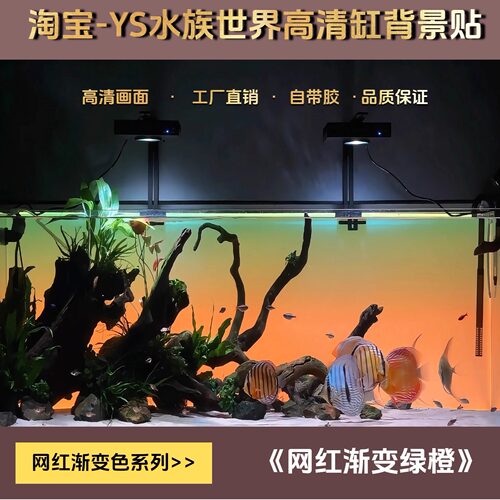 鱼缸背景贴纸画网红渐变色南美缸水草缸加厚水族箱缸高清鱼缸外贴