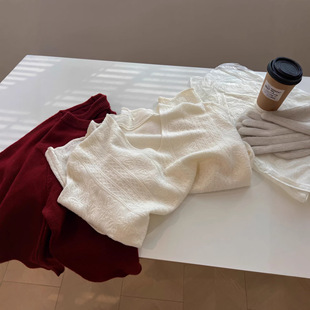 内搭蝴蝶刺绣鸡蛋领长袖蕾丝衫女宽松温柔杏色打底衫上衣春季新款